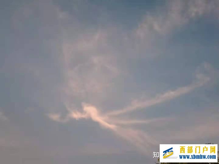 钦州建设广西工业强市,打造北部湾之星,推动广西经...(图12) 钦州建设广西工业强市,打造北部湾之星,推动广西经...(图12)