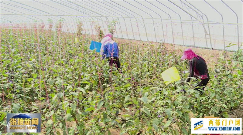 张掖:大力发展蔬菜产业助推乡村振兴(图1) 张掖:大力发展蔬菜产业助推乡村振兴(图1)