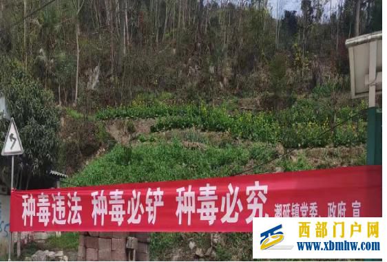 德江县潮砥镇开展畜牧养殖保险暨“禁毒教育进万家”宣传活动(图1) 2.jpg