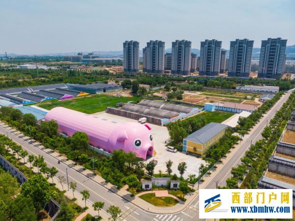 【大国新村:沿着总书记的足迹】济南章丘:富民强村促振兴(图2) 【大国新村:沿着总书记的足迹】济南章丘:富民强村促振兴(图2)