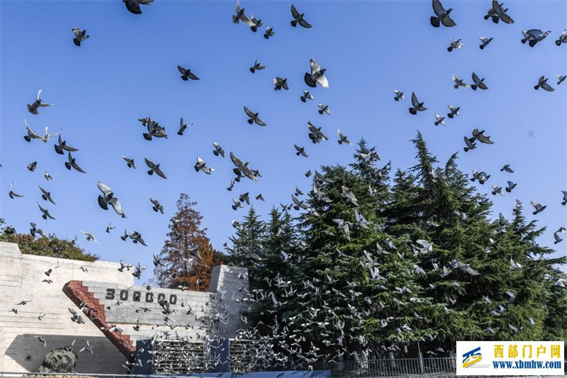 在缅怀哀思中凝聚奋进之力——写在第十个国家公祭日到来之际(图6) 在缅怀哀思中凝聚奋进之力——写在第十个国家公祭日到来之际(图6)