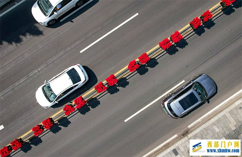 重庆:繁花扮靓山水城(图3) 重庆:繁花扮靓山水城(图3)