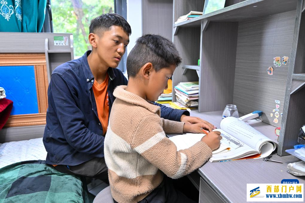 辉煌60载 魅力新西藏｜西藏朗县：农房更新展笑颜(图5)