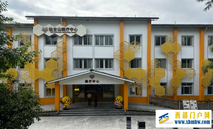 建智能蜂箱、开蜂疗门诊、让蜂蜜走上国际舞台 武隆用小蜜蜂撬动大产业(图1)