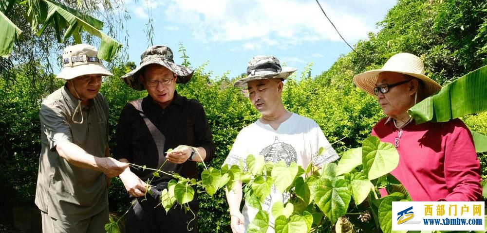 云南：织密幸福保障网 托起最美夕阳红(图3)