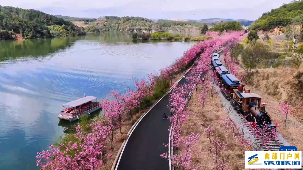 云南寻甸开启春日限定美景(图3)